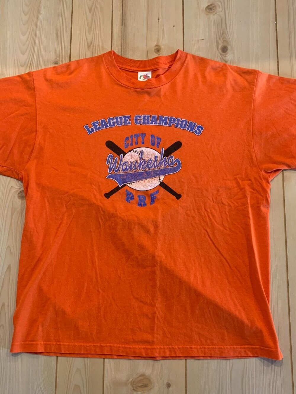 Vintage Y2K Waukesha Little League Champions Parks Recreation Forest T-Shirt XL